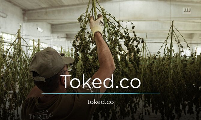 Toked.co