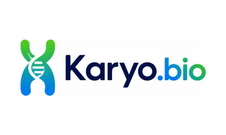 Karyo logo