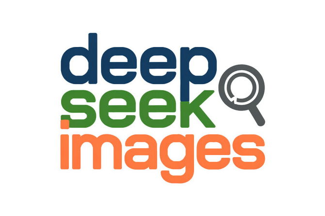 DeepSeekImages.com