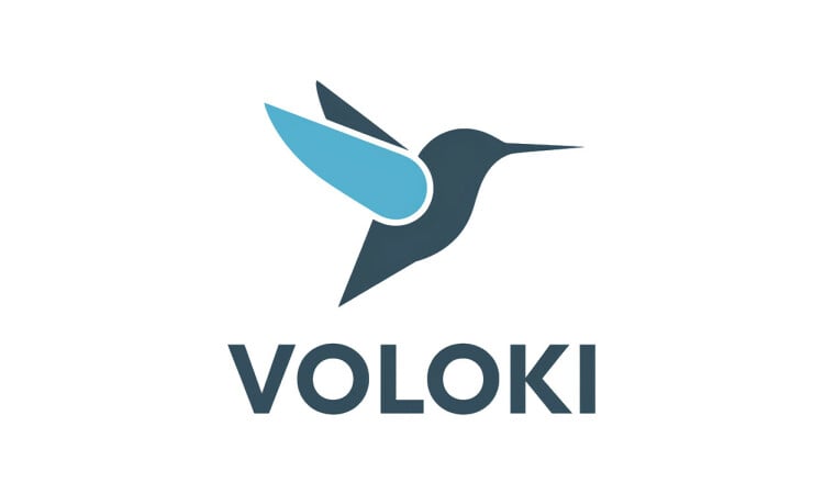 Voloki logo