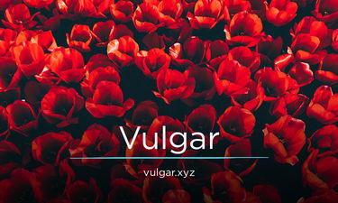 Vulgar.xyz - Creative brandable domain for sale