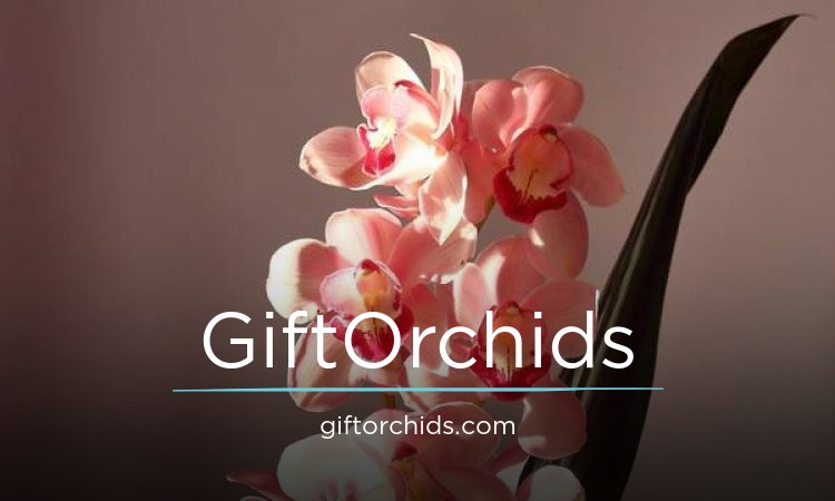 GiftOrchids logo