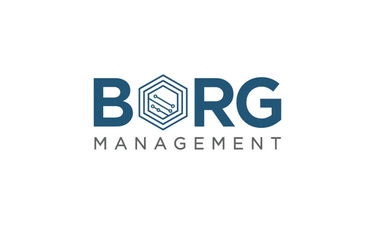 BorgManagement.com - Creative brandable domain for sale