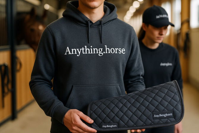 Anything.horse