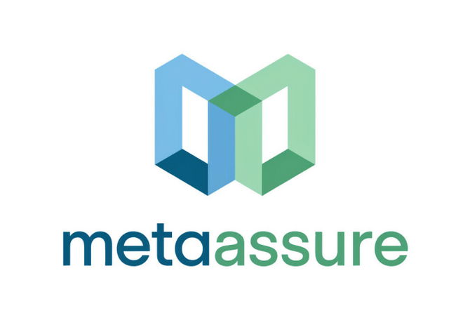 metaassure.com