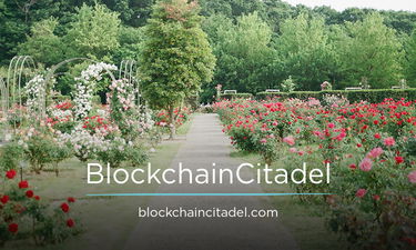 BlockchainCitadel.com - Creative brandable domain for sale