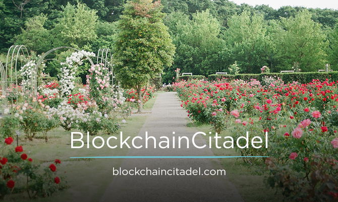 BlockchainCitadel.com
