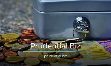 Prudential.Biz - Creative brandable domain for sale