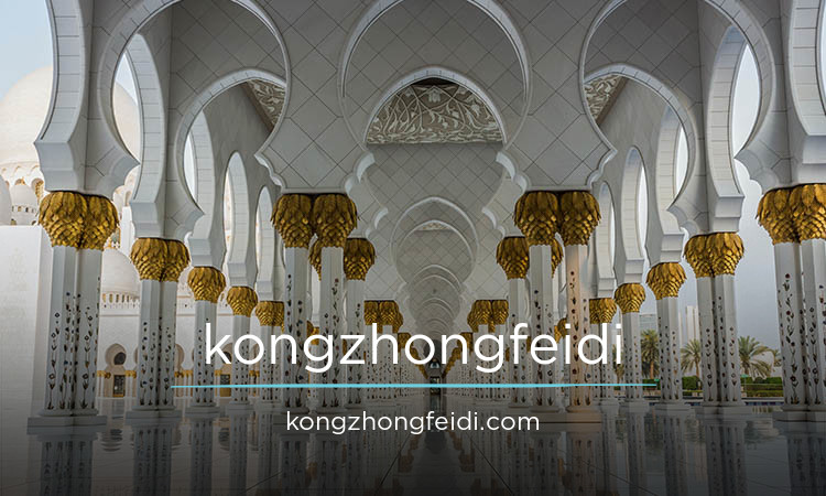 Kongzhongfeidi logo