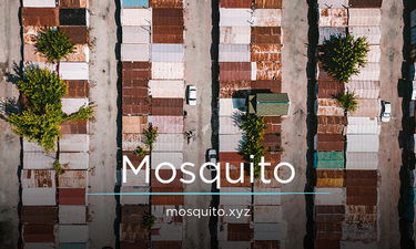 Mosquito.xyz - Creative brandable domain for sale