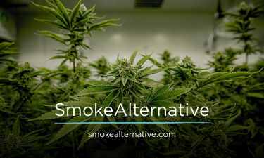 SmokeAlternative.com - Creative brandable domain for sale