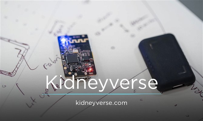 Kidneyverse.com