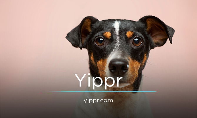 Yippr.com