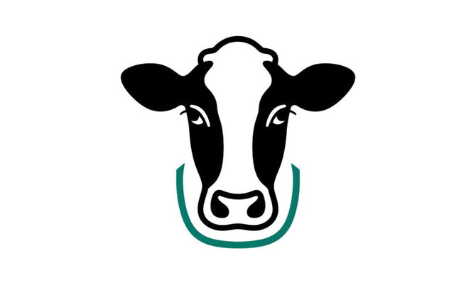 HolsteinFriesians.co.uk