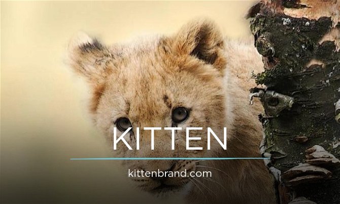 KittenBrand.com