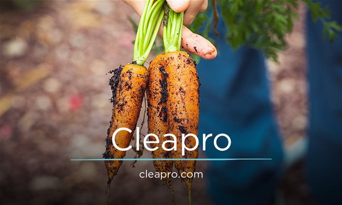 Cleapro.com