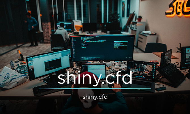 shiny.cfd