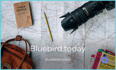 Bluebird.today - Creative brandable domain for sale
