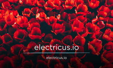 Electricus.io - Creative brandable domain for sale
