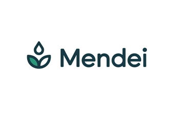 Mendei.com - Creative brandable domain for sale