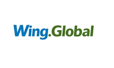 Wing logo