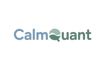 CalmQuant.com - Creative brandable domain for sale