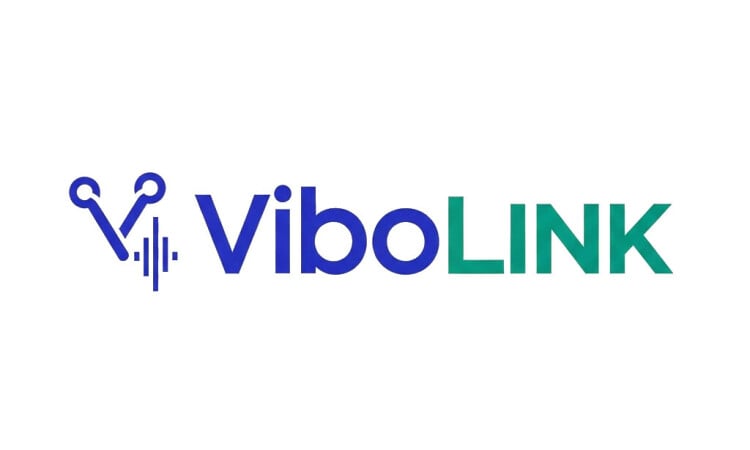 ViboLink logo