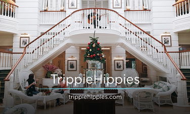 TrippieHippies.com - Creative brandable domain for sale