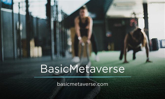 BasicMetaverse.com