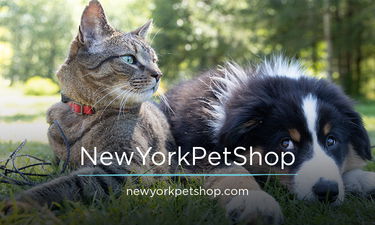 NewYorkPetShop.com - Creative brandable domain for sale
