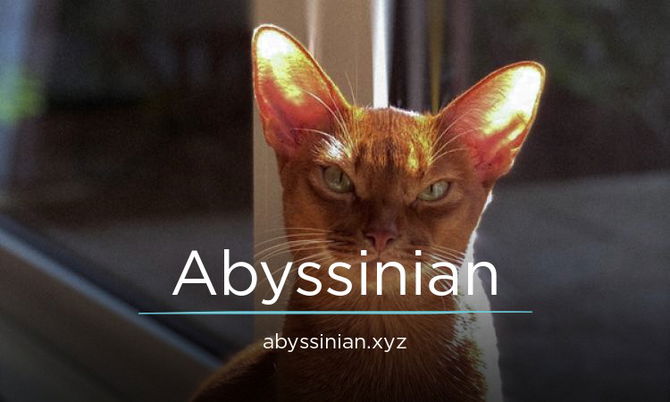 Abyssinian.xyz