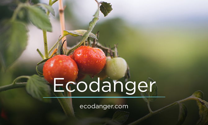 EcoDanger.com