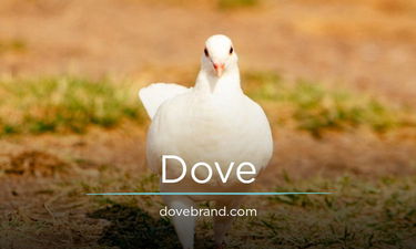 DoveBrand.com - Creative brandable domain for sale