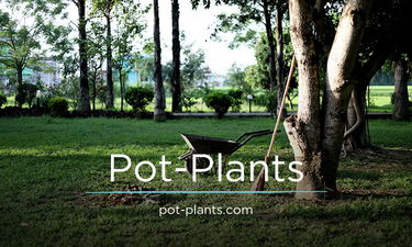 Pot-Plants.com - Creative brandable domain for sale