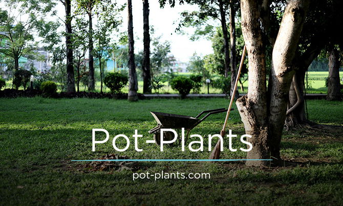 Pot-Plants.com