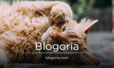 Blogoria.com - Creative brandable domain for sale