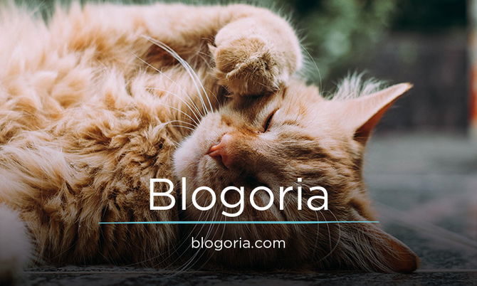 Blogoria.com