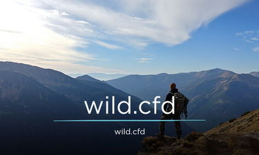 Wild.cfd - Creative brandable domain for sale
