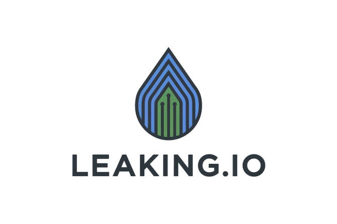 Leaking.io
