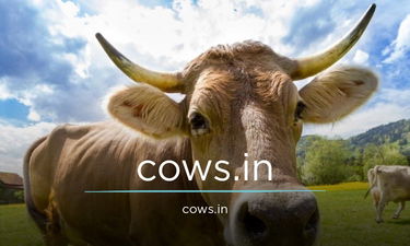 Cows.in - Creative brandable domain for sale