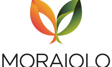 Moraiolo.com - Creative brandable domain for sale