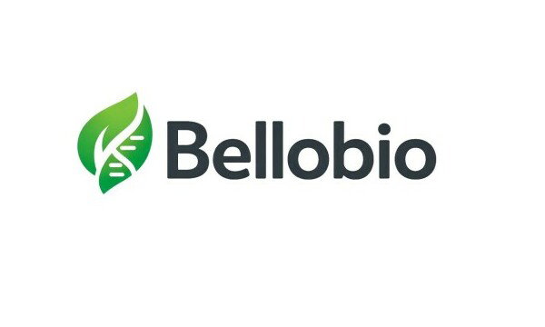 Bellobio.com