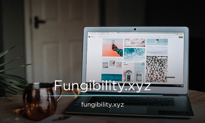 Fungibility.xyz