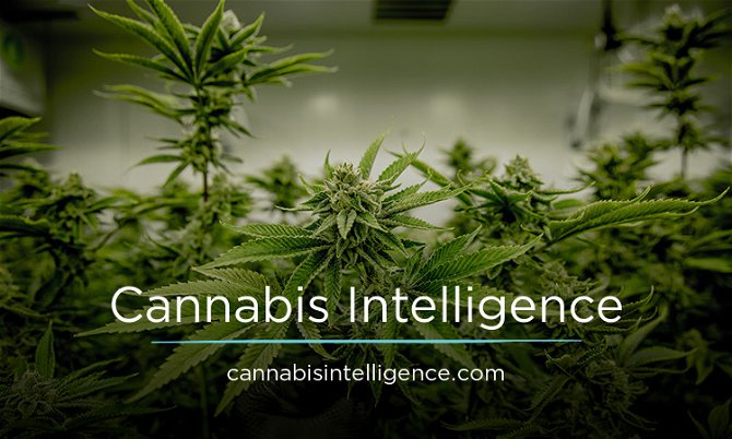 CannabisIntelligence.com