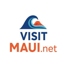 VisitMaui.net - Creative brandable domain for sale