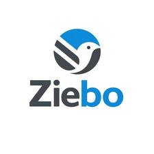 Ziebo.com - Creative brandable domain for sale