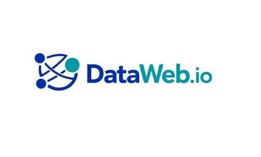 DataWeb.io - Creative brandable domain for sale