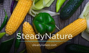 SteadyNature.com - Creative brandable domain for sale