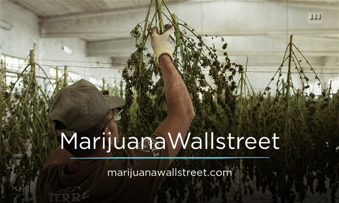 MarijuanaWallstreet.com