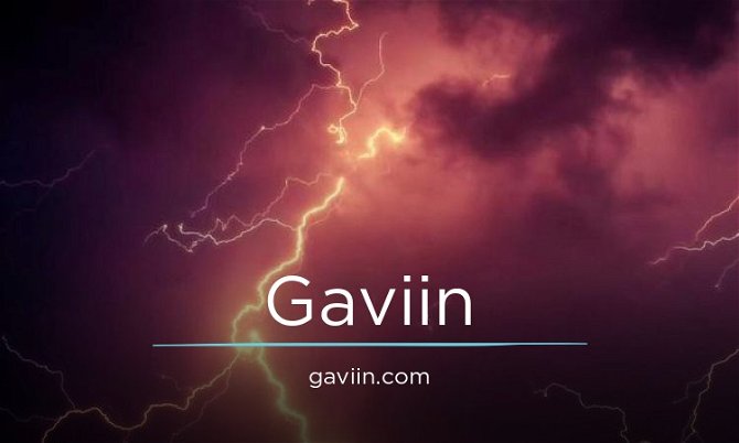 Gaviin.com